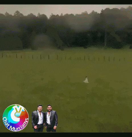 BACK TO BASICS WEDDING VENUE 6 BACK TO BASICS WEDDING VENUE 6