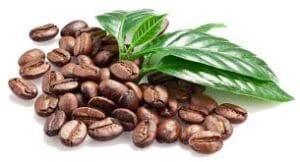 CHOOSE YOUR FIGHTER: Arabica, Robusta or Liberica Coffee Beans? 2 coffee-beans-robusta