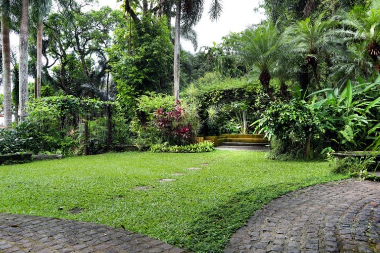 Jardin's MINImony Intimate wedding package 1 Pergola garden venue jardin de miramar
