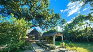 REASONS WHY JARDIN IS A PICTURE-PERFECT WEDDING VENUE IN ANTIPOLO 2 YLANG YLANG VENUE