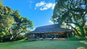 A Step-by-Step Guide to Achieving Tropical Elegance for Your Garden Wedding at Jardin de Miramar 2 A Step-by-Step Guide to Achieving Tropical Elegance for Your Garden Wedding at Jardin de Miramar 1