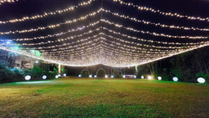 A Step-by-Step Guide to Achieving Tropical Elegance for Your Garden Wedding at Jardin de Miramar 9 Esta