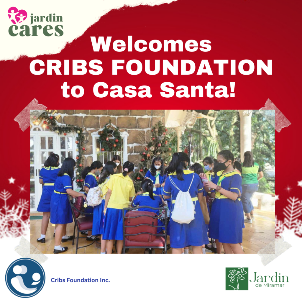 CRIBS FOUNDATION 10