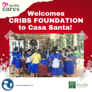 CRIBS FOUNDATION 7