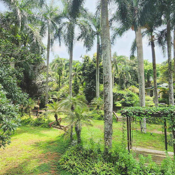 Paradiso
