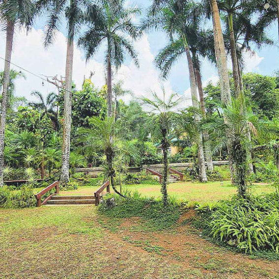 Paradiso_2