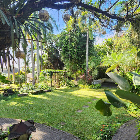 Pergola 2